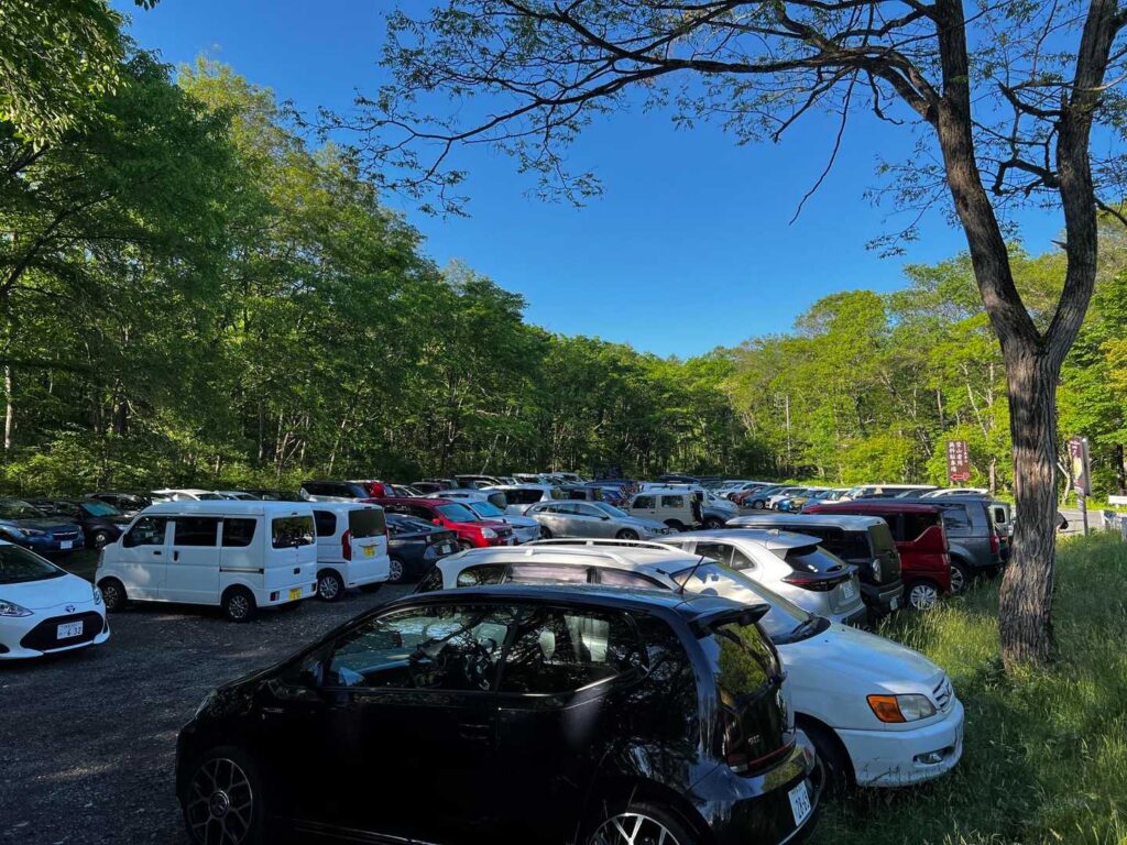 駐車場の様子。朝6時半でほぼ満車