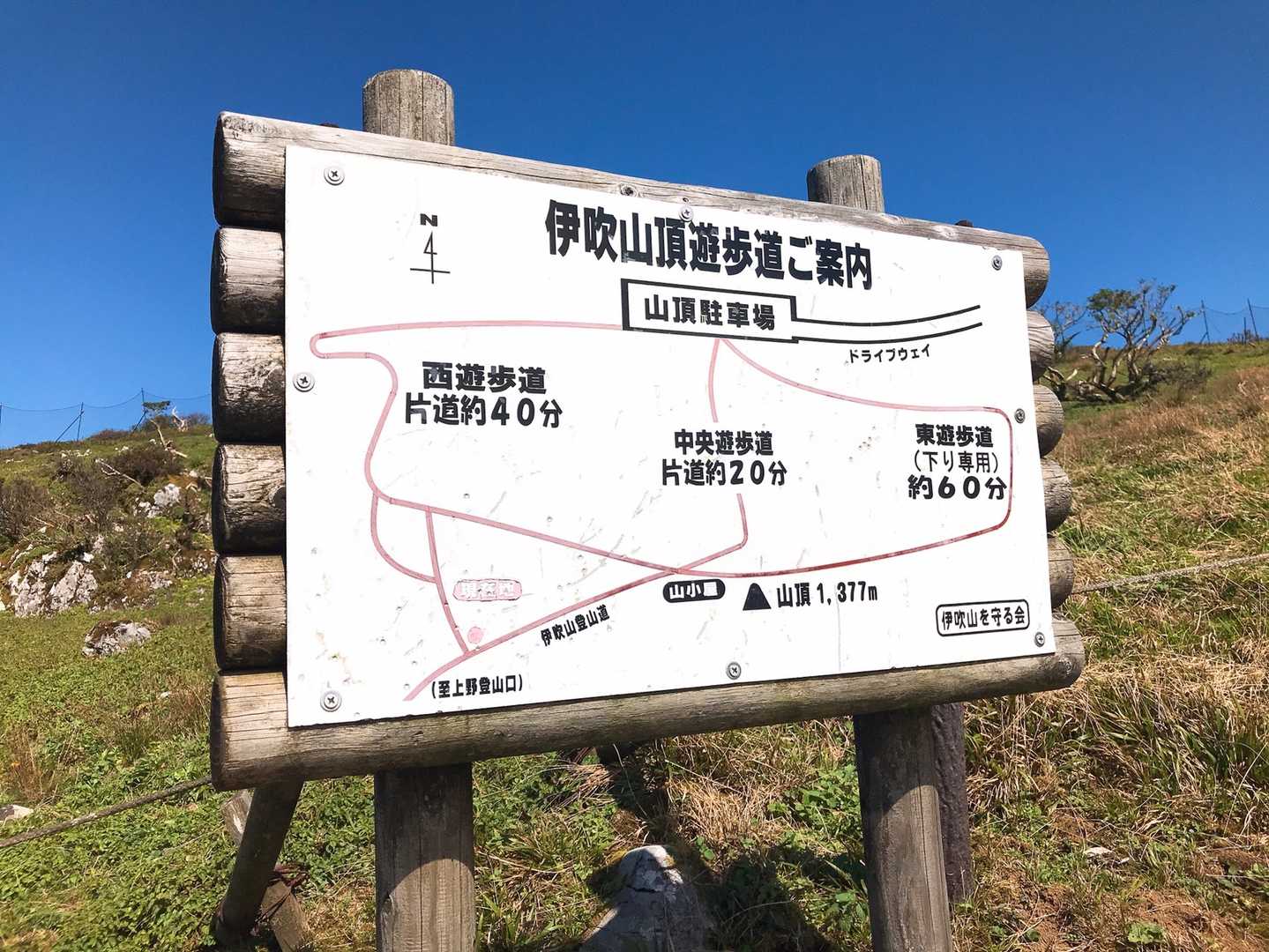 遊歩道があるわけねﾌﾑﾌﾑ(o^-^)φ_