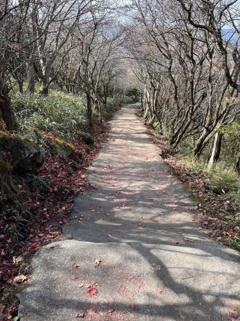 コンクリートの階段を下る