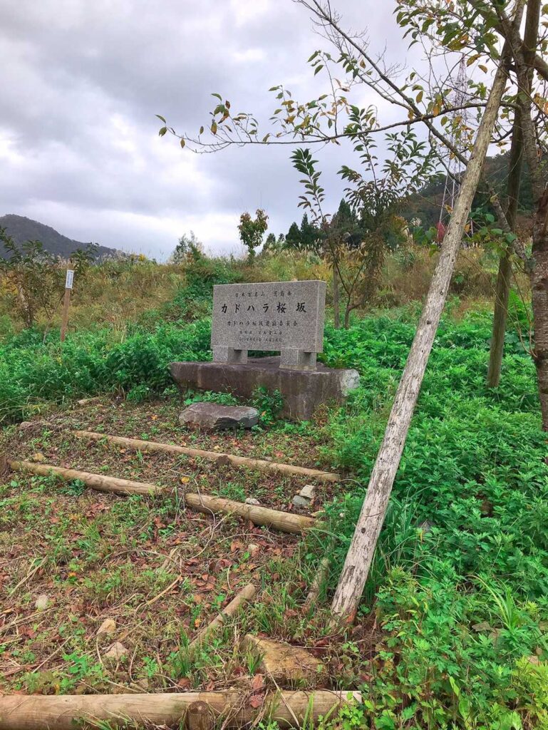 勝原桜坂の石碑