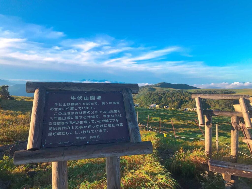 牛伏山付近からの朝の風景