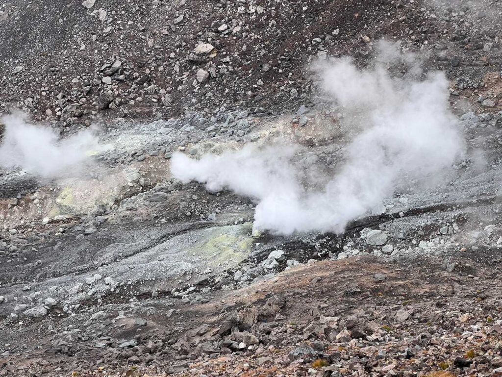 下山途中の登山道