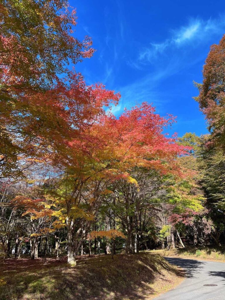 下山しても また紅葉