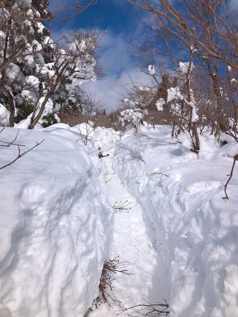 スノーと青空の稜線