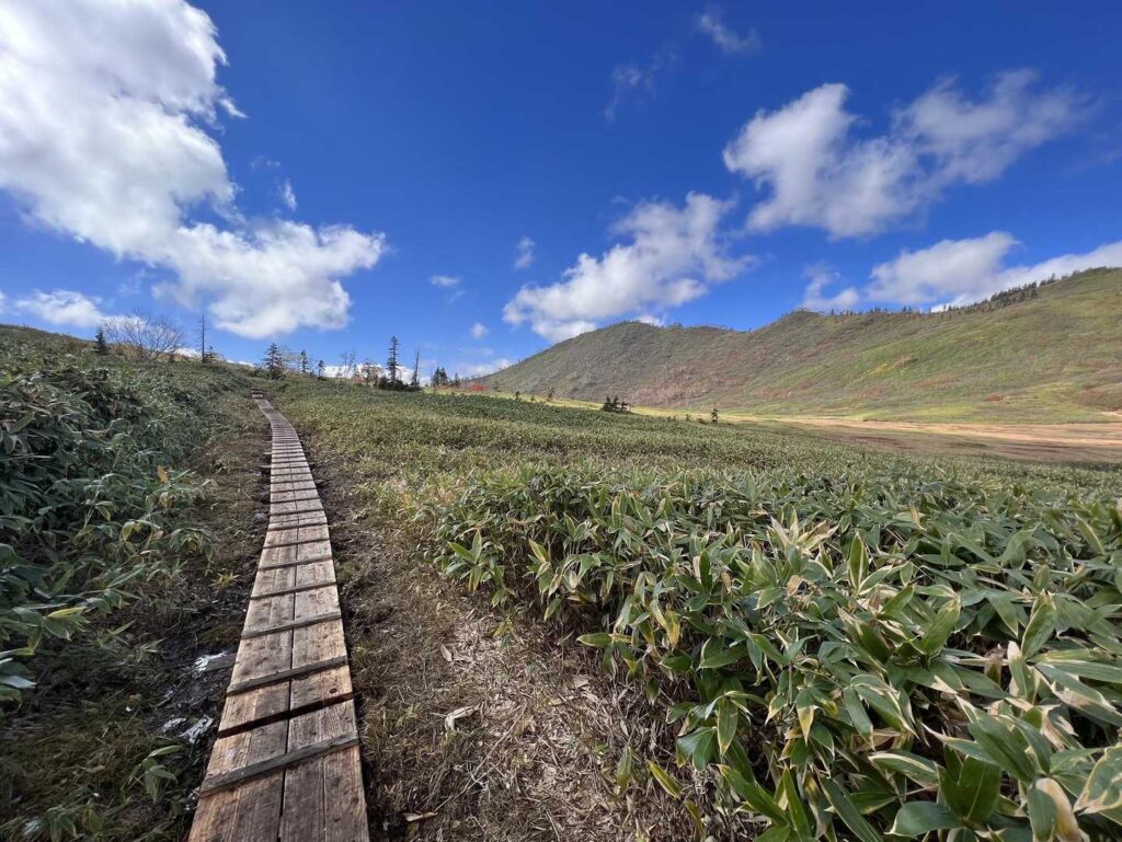 黒沢池付近の絶景