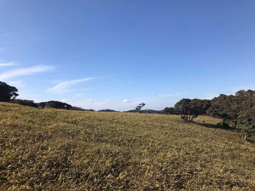 山頂付近でパッと開ける