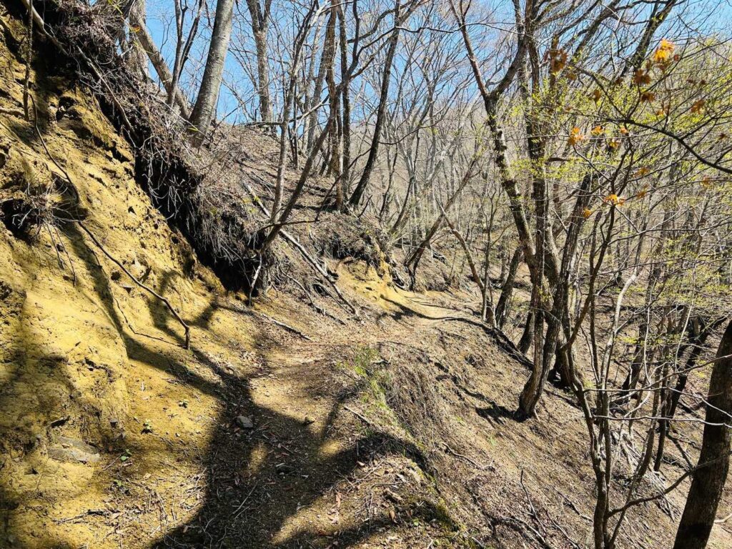 星尾峠方面への道