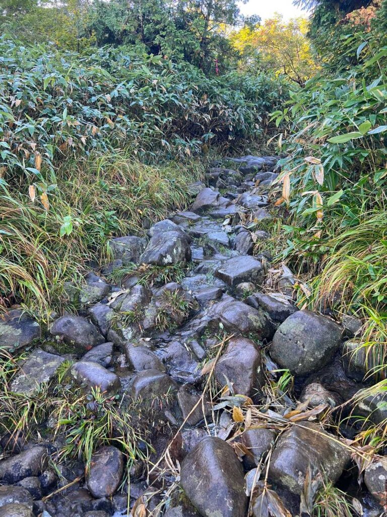 リフトを降りると濡れた岩