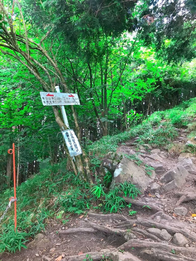 樹林帯の分岐、木製の道標