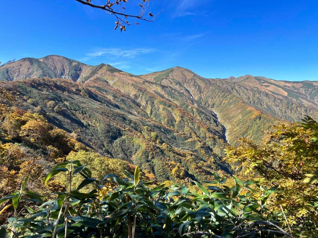 秋の山の色づき
