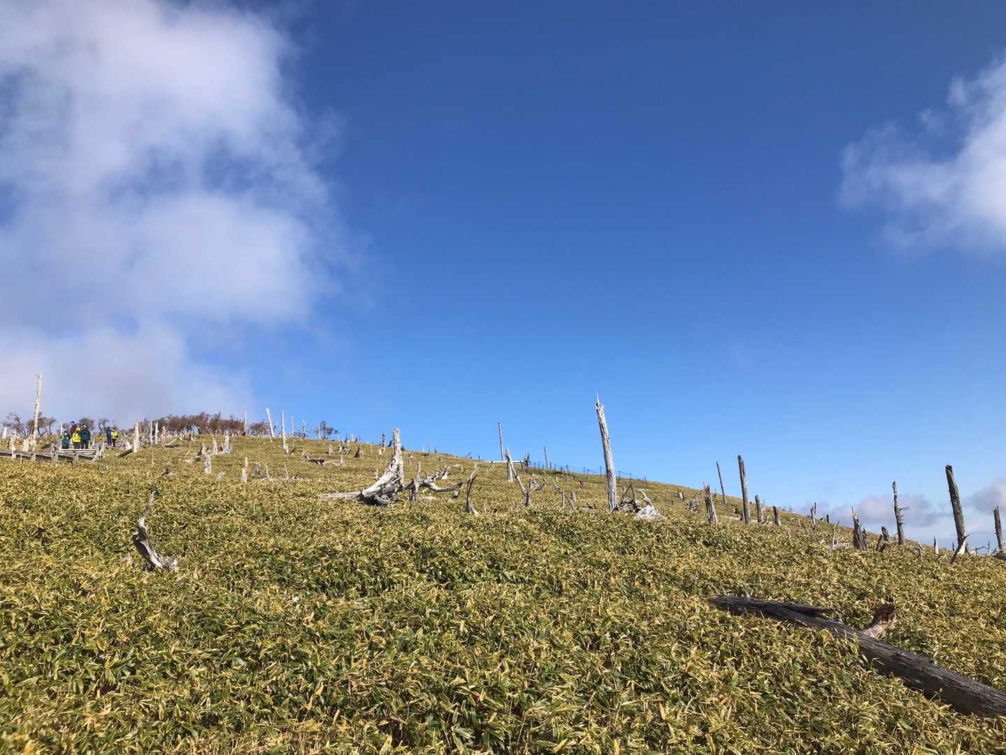 気持ち😆✌️⤴︎︎︎⤴︎︎︎⤴︎︎︎