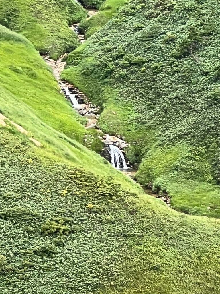 下山中に見えた滝