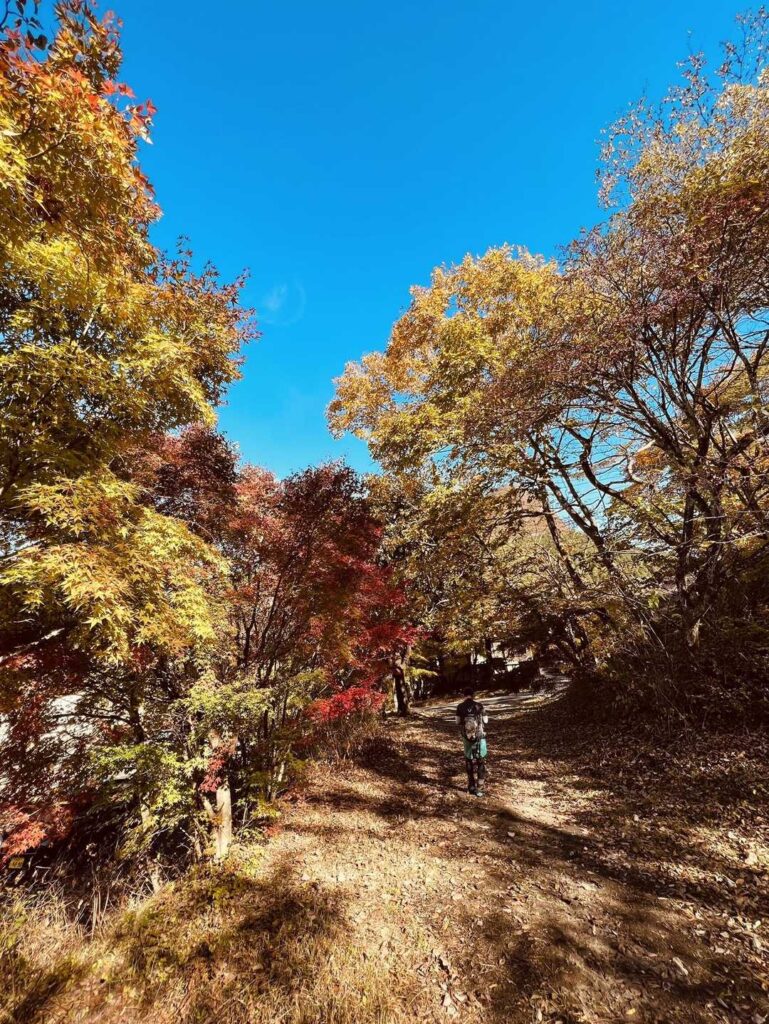 下山途中に また紅葉🍁