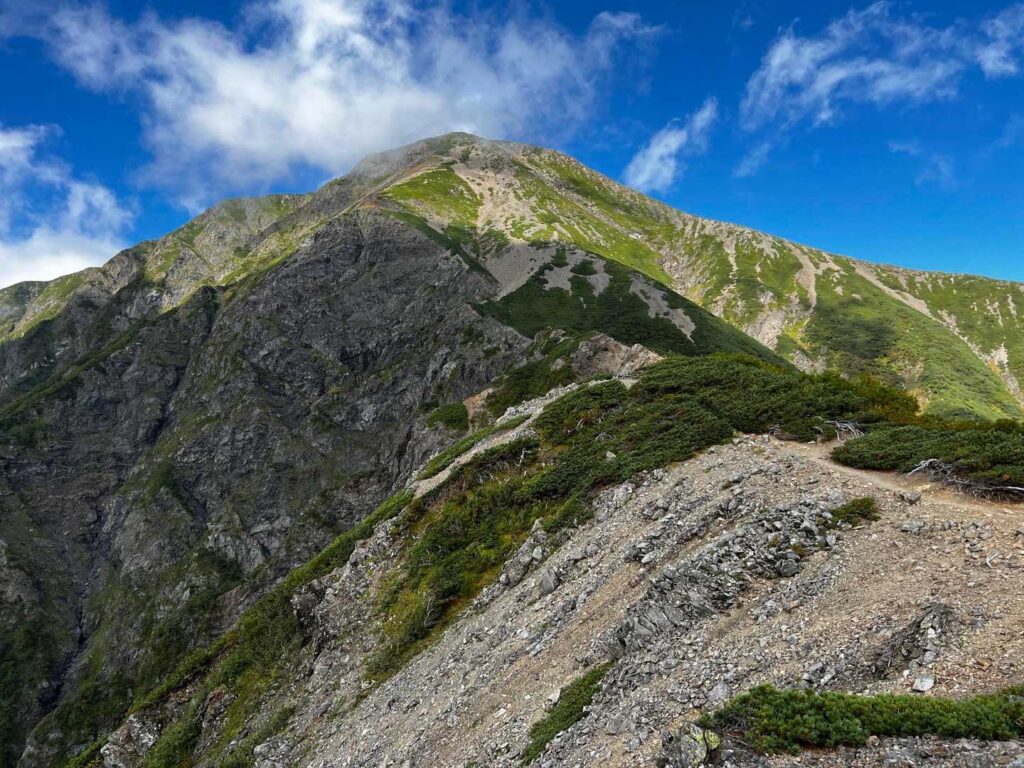振り返ると聖岳