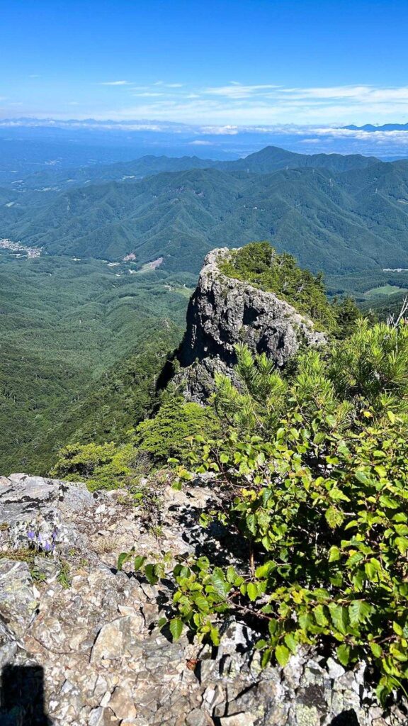 奥のあれは行けるのか？？？