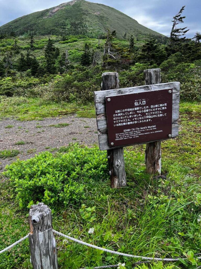 視界がひらけた仙人岱