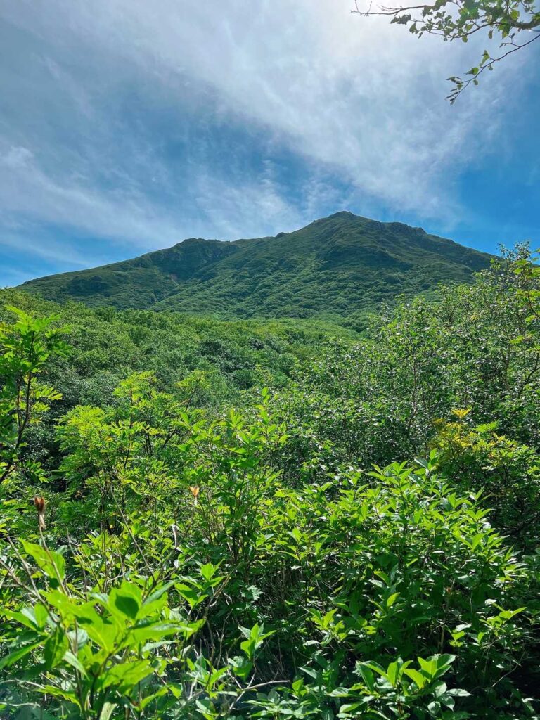 山頂方面が見えてきた