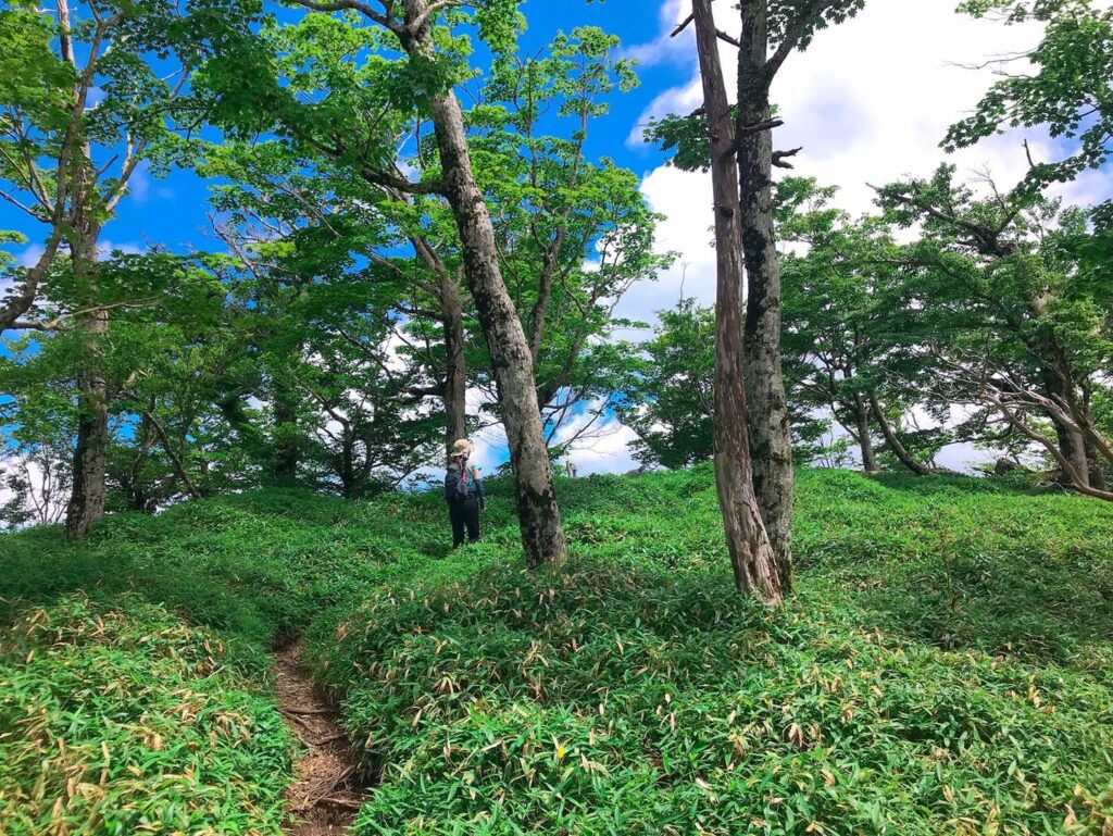 なだらかな稜線と青空