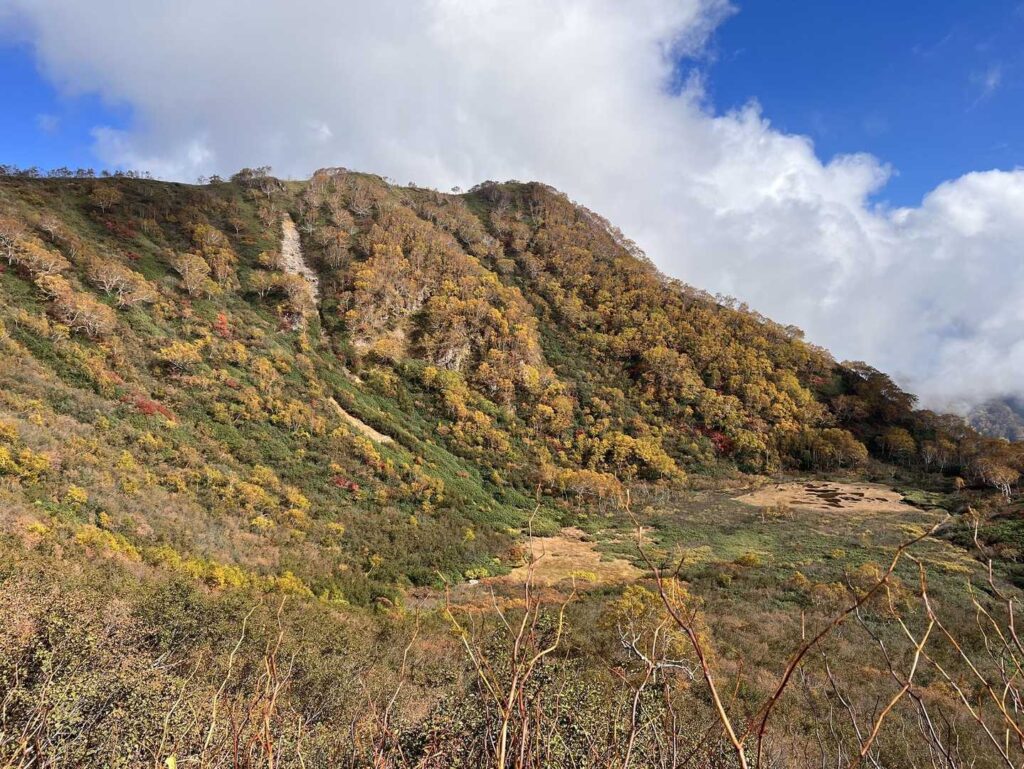 紅葉の登山道