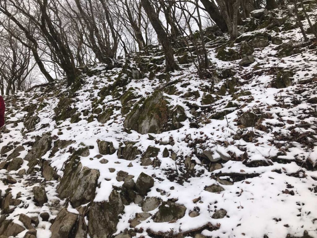 段々と雪がー 待ってましたぁ