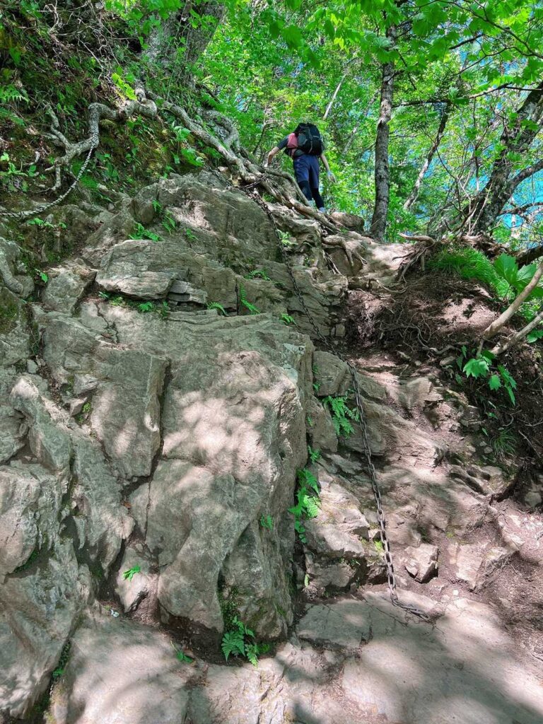 所々に設置された鎖場