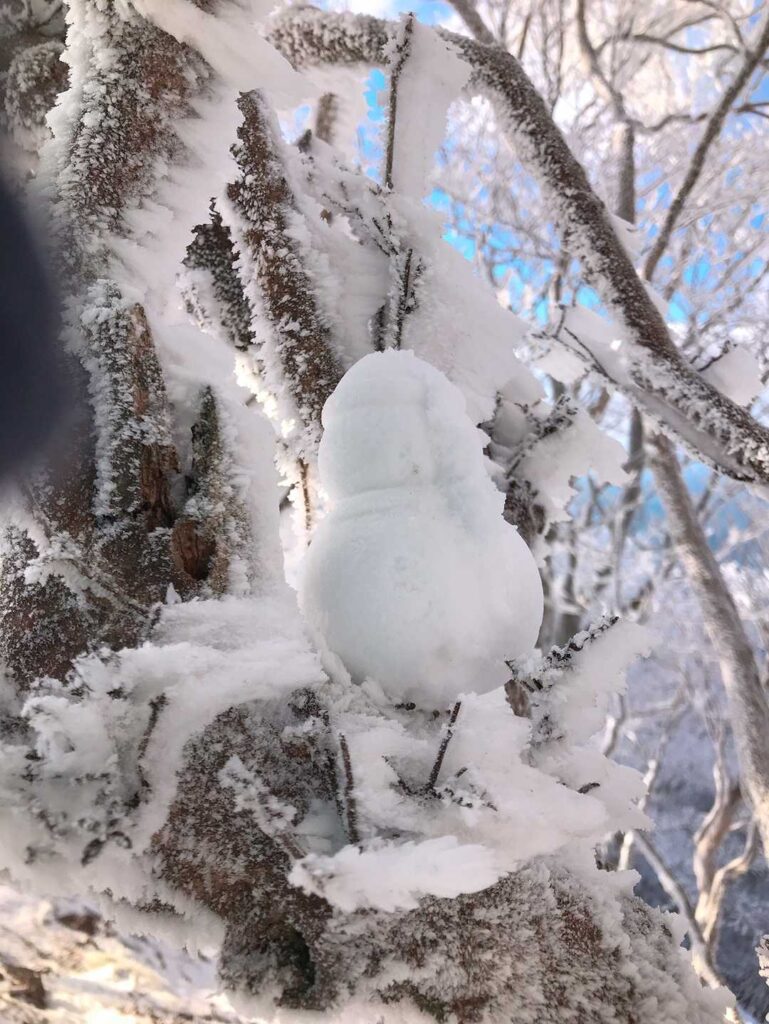 山頂の雪だるま