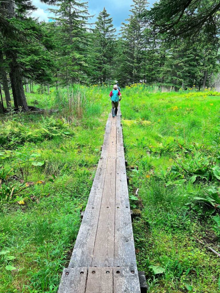 何とか登り下りをこなす
