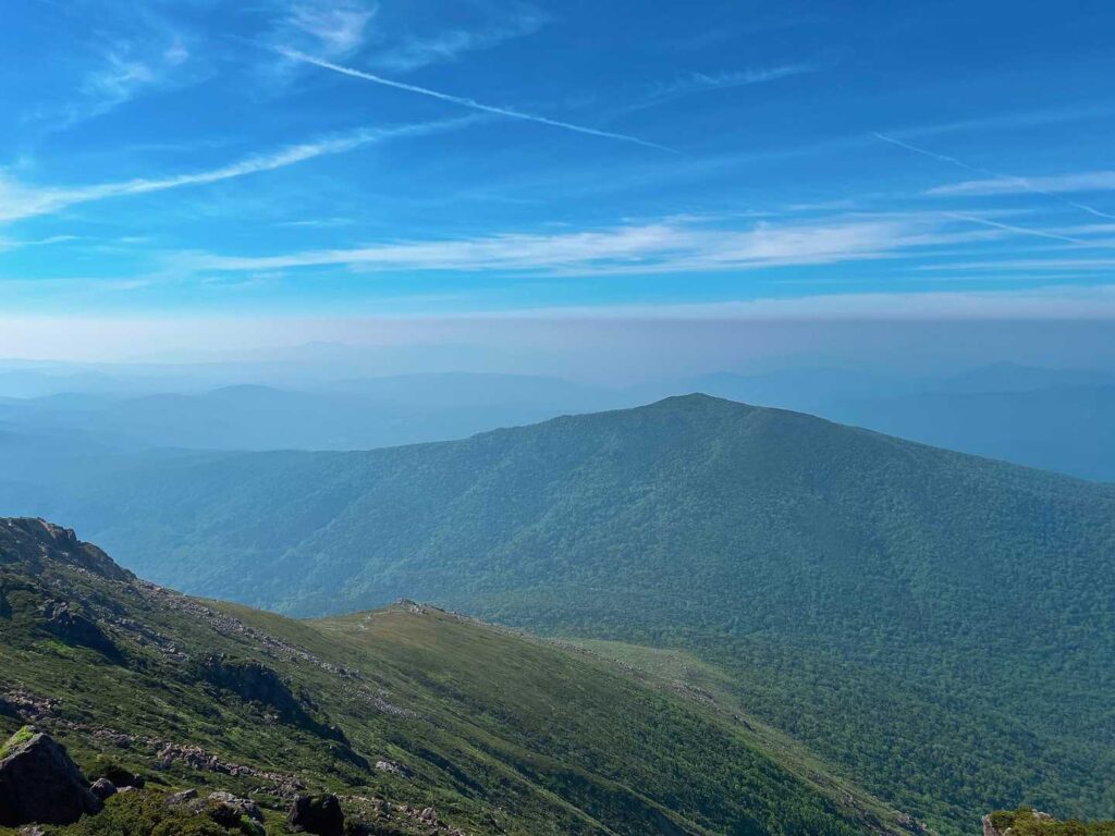 登ってきた道を振り返る
