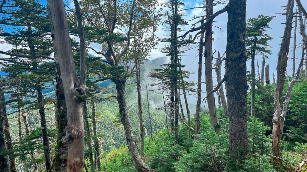 雲が湧いてきた