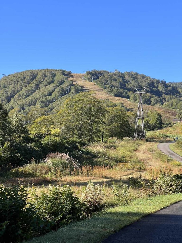 ゲレンデが見えてきた