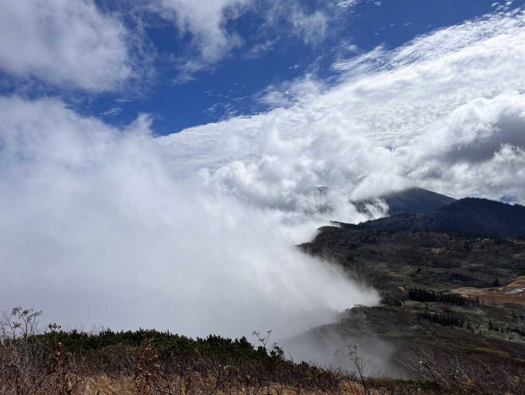 振り返ると雲海が広がる