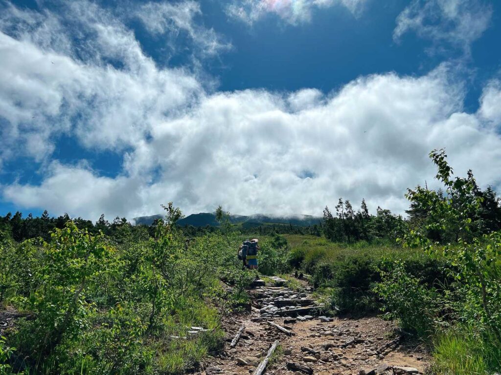 登るにつれて晴れてきた登山道