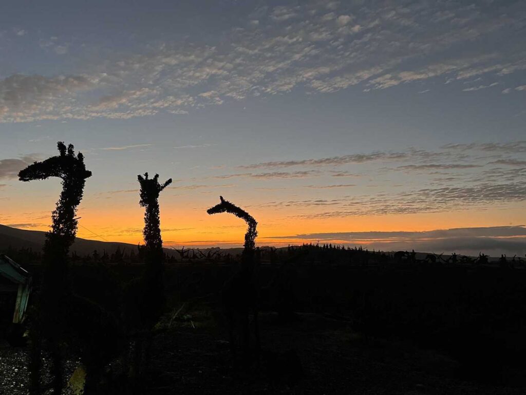 早朝の車窓から