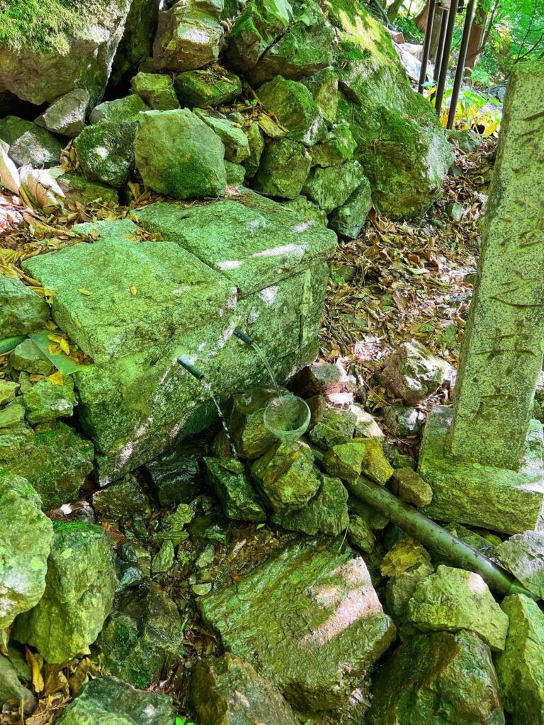 水場で冷たい水を補給