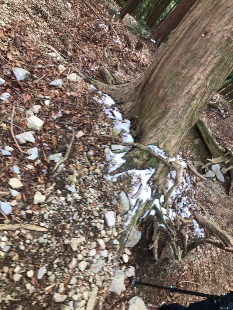 雪が姿を現してきました