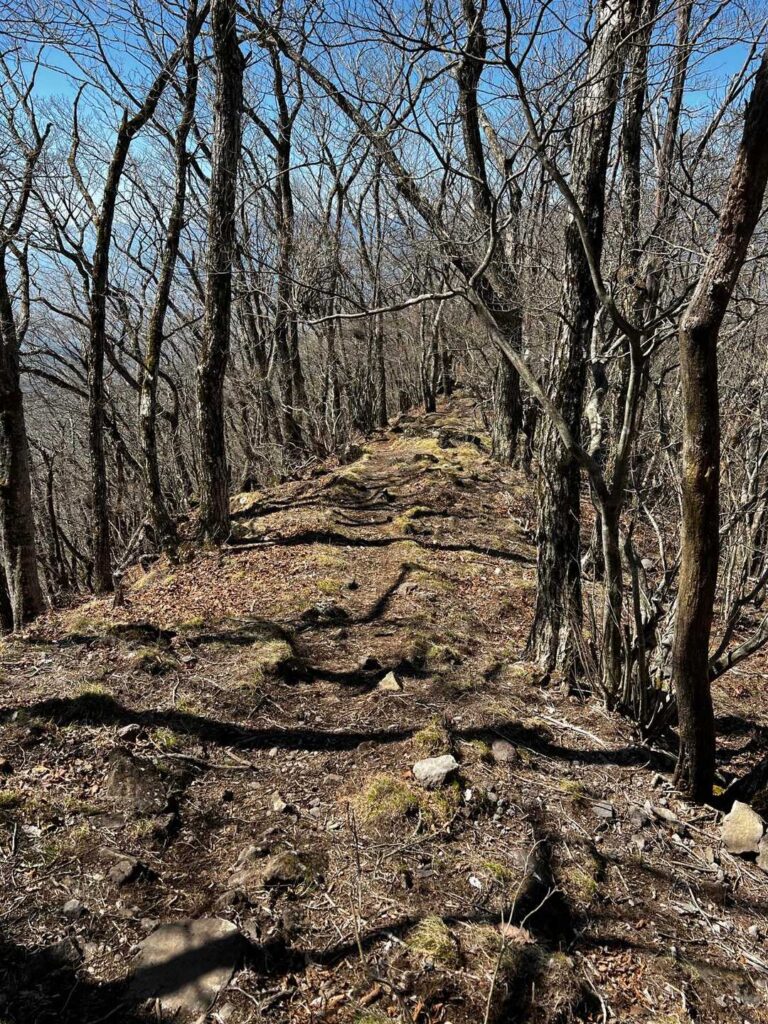 尾根をのんびり下って