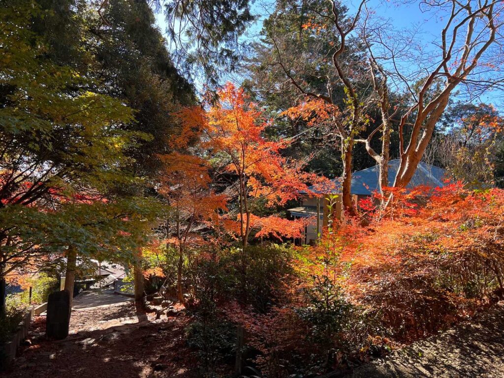 下山口付近。紅葉の名残がきれい
