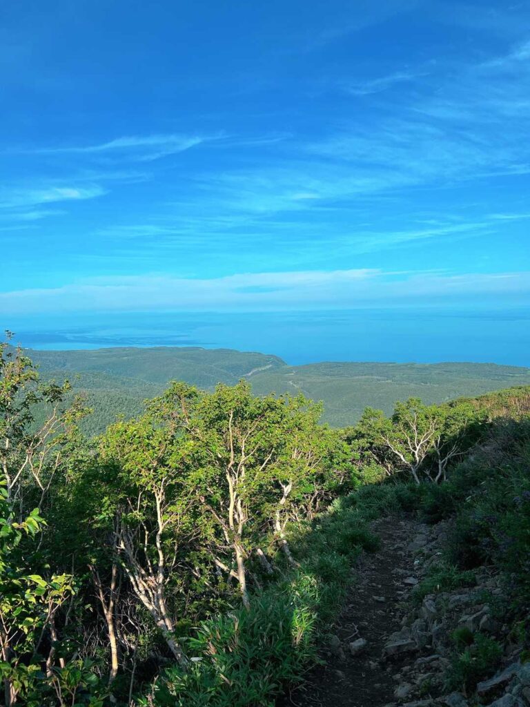 天気も良くて気持ちいい登山道