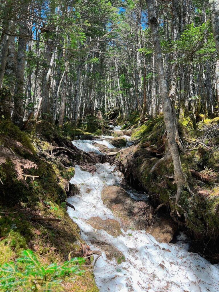 三宝山への残雪の登山道
