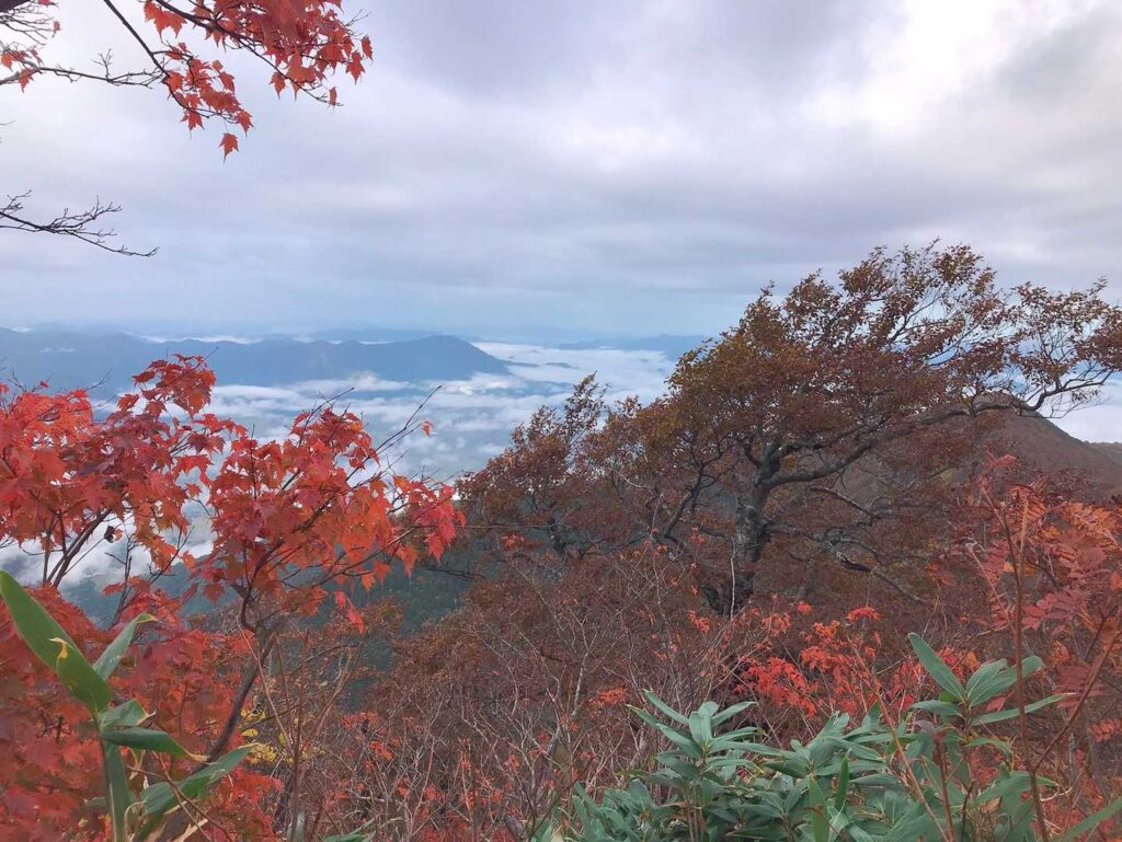 荒島岳の紅葉と雲海の展望