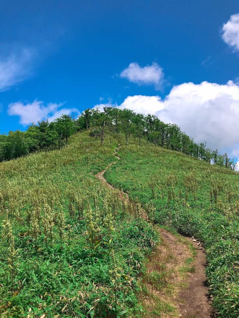 古田ノ森付近の稜線