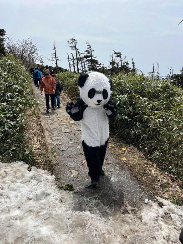 八幡平にパンダの着ぐるみ