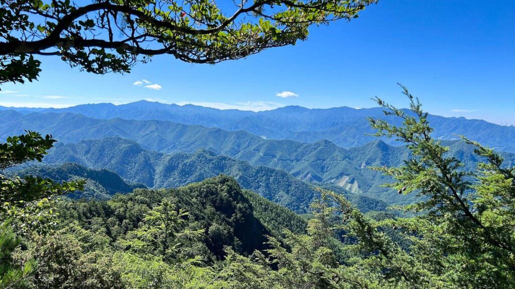 やっと外の景色が見えたと思ったら また樹林帯に
