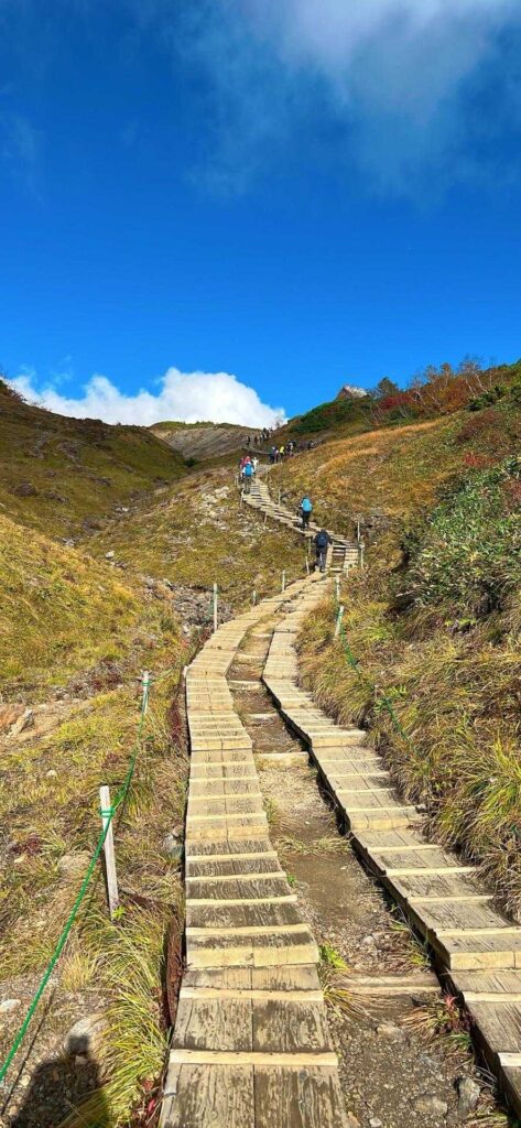 木道ルートを選んで歩く