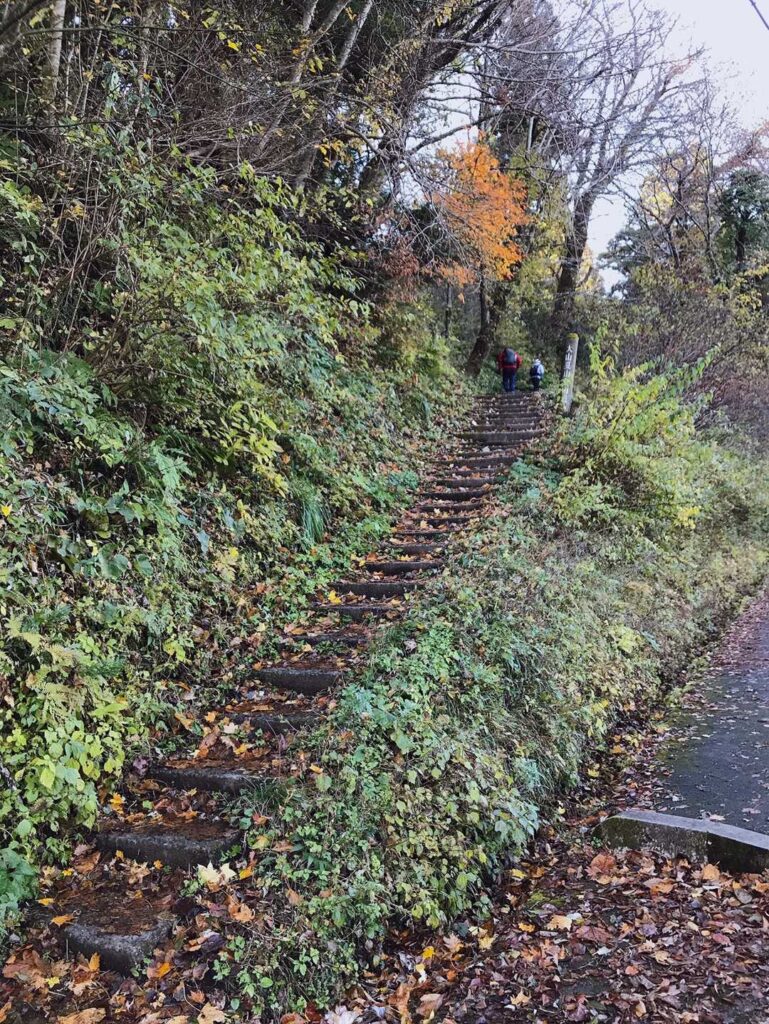 前回と同じ登山口からスタート