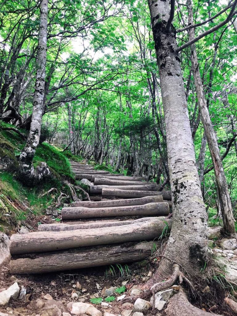 弥山への丸太の階段