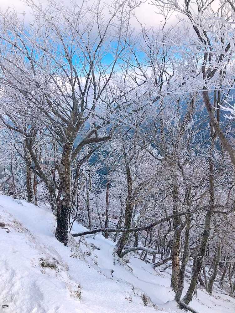 山頂から眺める景色