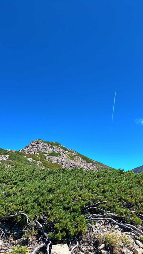 飛行機雲と青空