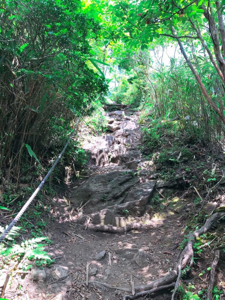 倶留尊山手前、木の根と岩の急登