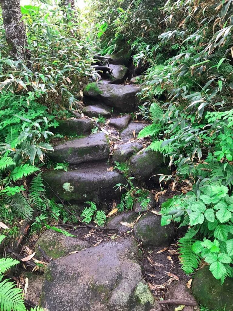 雨で滑る石段の下山道